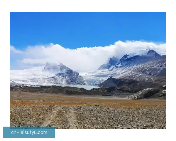 六千万诱惑或卖恩梅加留詹为核